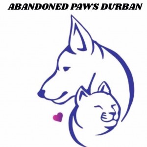 abandoned_paws_dbn