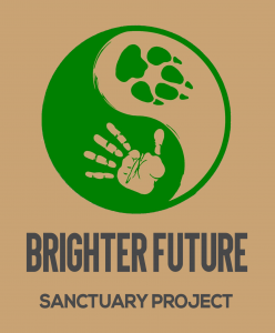 sanctuary logo 3